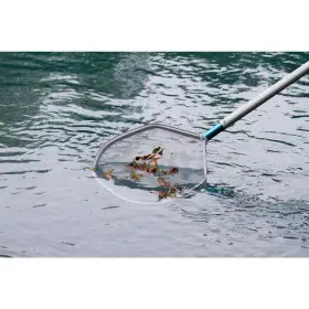 61291 HDX Leaf Skimmer Swimming Pools Spas #3 61291 HDX Leaf Skimmer Swimming Pools Spas #3