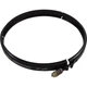 American Products 190003 Clamp Ring Pentair American Products PacFab Titan FNS American Products 190003 Clamp Ring Pentair American Products PacFab Titan FNS