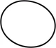 Pentair 154493 O-Ring Closure 6" Triton Tagelus HiFlow Valve Pentair 154493 O-Ring Closure 6" Triton Tagelus HiFlow Valve