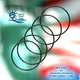 CLX110K Hayward Pool Chlorinator Lid O-Ring for CL100/CL110 (5 Pack) PTK-442V 