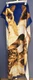 Vintage Cat Beach Towel, Kaufman Veloured Cotton NEW  30&rdquo; X 58&rdquo;