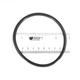 HAYWARD CL100/CL110 CHLORINATOR COVER O-RING Part#CLX110K