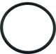 Hayward CL100 CL110 Chlorine Feeder Cap Cover Lid O-Ring Replacement CLX110K