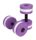 Trademark Innovations Lightweight Aquatic Exercise Dumbells Pur... USA FAST SHIP